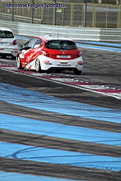 2013-11-17 Rencontres Peugeot au Castellet (202).JPG